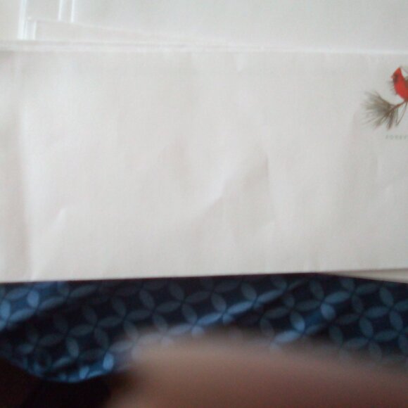 Cardinal Forever & U.S Flag Stamped Forever Envelope Peel and Stick Flap - Picture 3 of 4